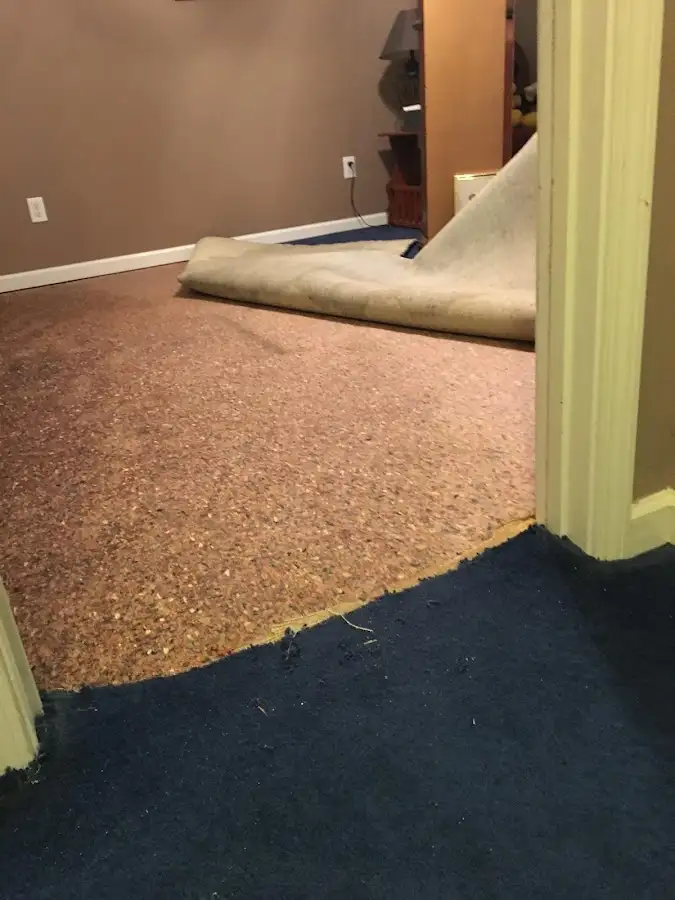 Carpet pad removal revealing water damage during Water Mitigation Services in Hopkinsville