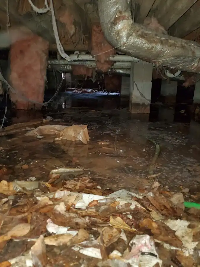 Crawl space flood assessment for Leak Detection & Repair in Hopkinsville
