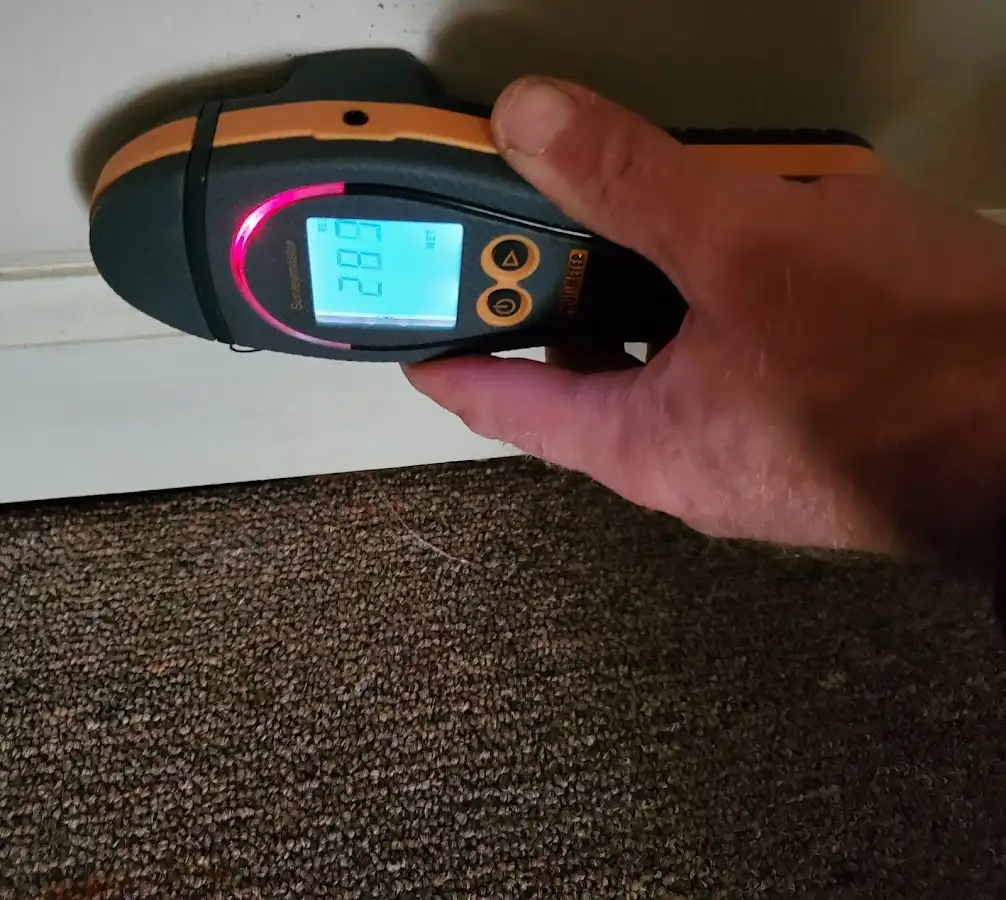 Moisture detection at baseboard during Sewage Cleanup & Sanitation in Hopkinsville